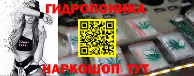 гашик Ипатово